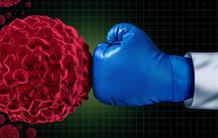 Immune checkpoints : new targets in kidney cancer
