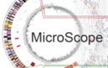 MicroScope : les génomes microbiens à la loupe