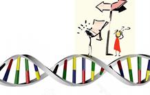 Trouver son chemin dans les méandres de l’ADN