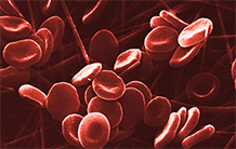 Hémoglobinopathies : 100% de cellules cibles modifiées par thérapie génique