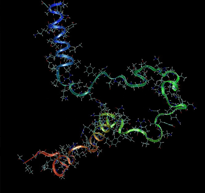 La protéine prion, lorsqu'elle est mal repliée, se comporte comme un agent infectieux. Simulation numérique du dépliement de la protéine prion.