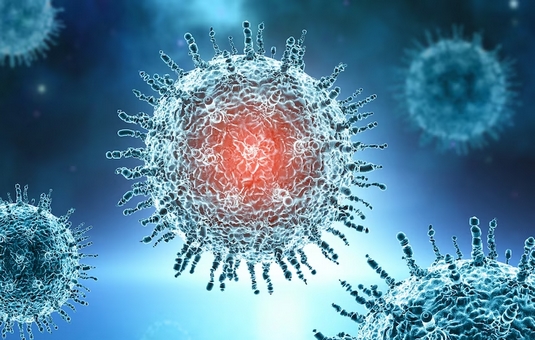 De nouveaux virus à mi-chemin entre virus géants et virus de l’herpès